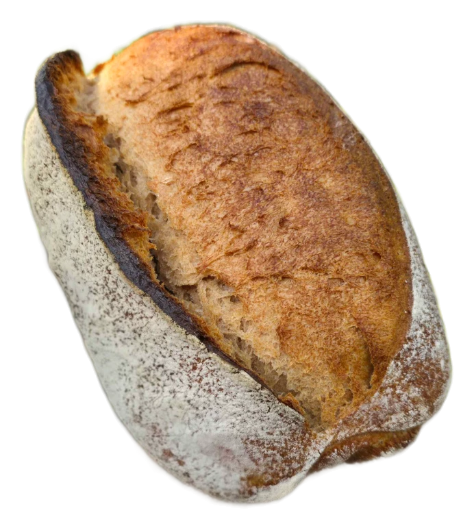 Pain Type 80, croûte farinée et grigne dorée